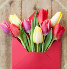 BI Broadcast Newsletter